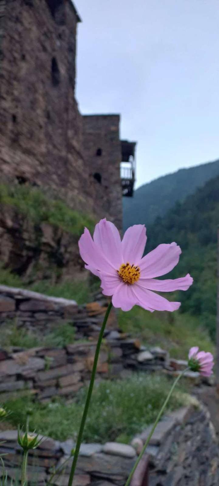 "Front Castle" Hotel Shatili Exterior foto